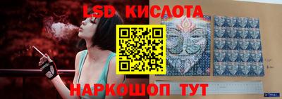 индика Шелехов