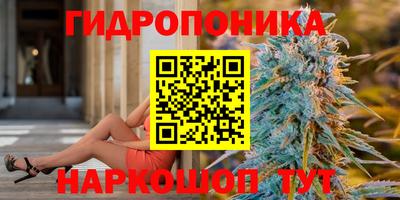 СК Шебекино