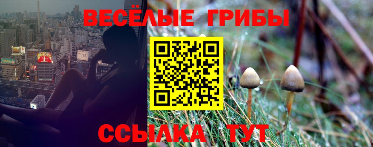 Луга  Галлюциногенные грибы GOLDEN TEACHER  Вход с VPN 