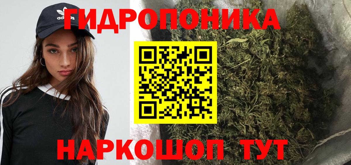 Луга  Бошки Шишки план  Бошки Шишки индика  Вход с VPN  Конопля MAZAR  Каннабис OG Kush 